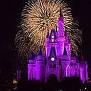 Disney's Cinderella's Castle